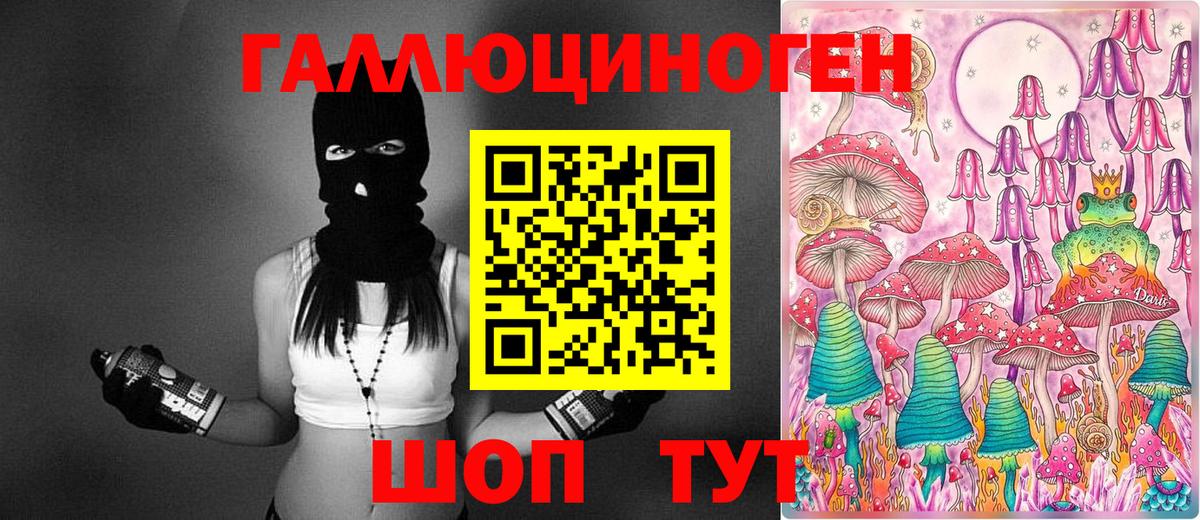 Галлюциногенные грибы GOLDEN TEACHER Биробиджан