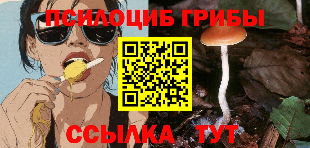 Биробиджан  Галлюциногенные грибы MAGIC MUSHROOMS  Вход с VPN 